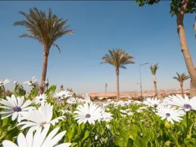 تفاصيل عن المطور العقاري لكمبوند اب تاون كايرو