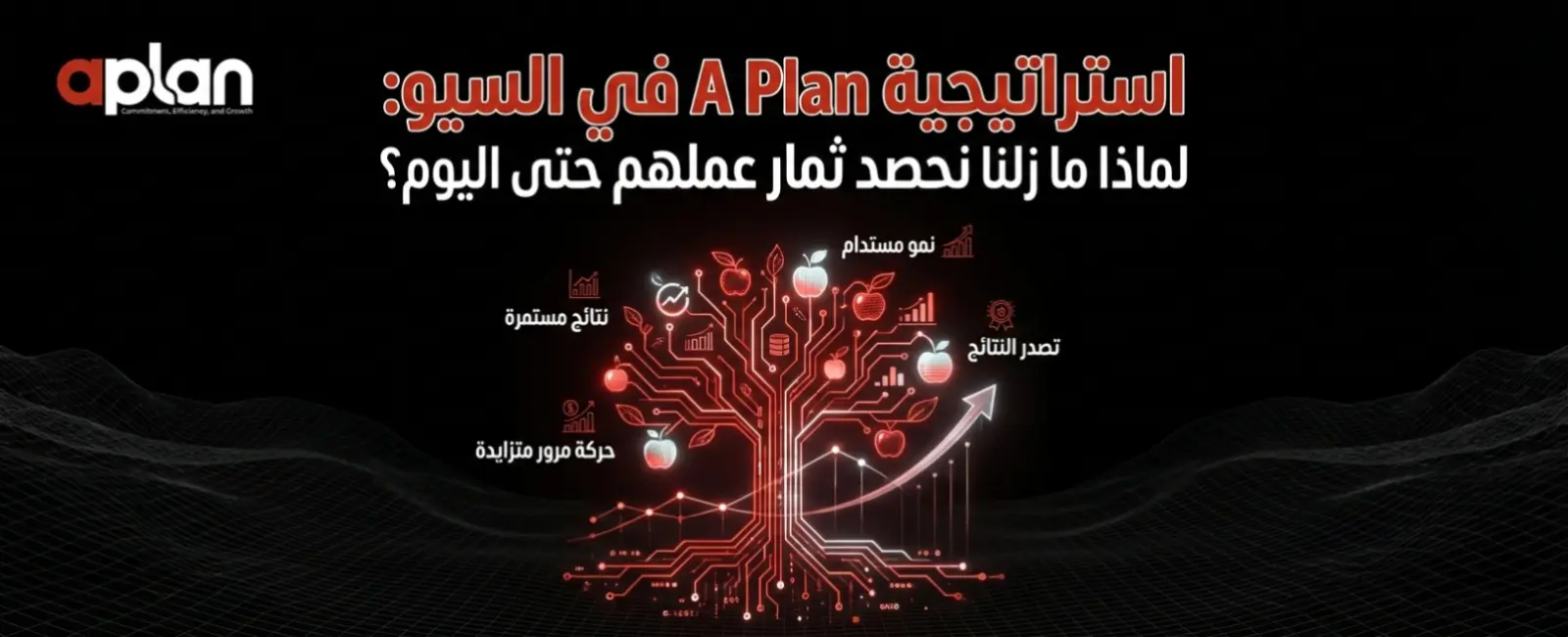 A Plan’s SEO Strategy: Why We Are Still Reaping the Rewards Today