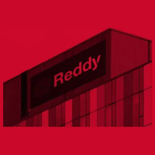 Reedy Group development