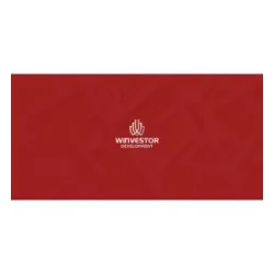 Winvistor Developments
