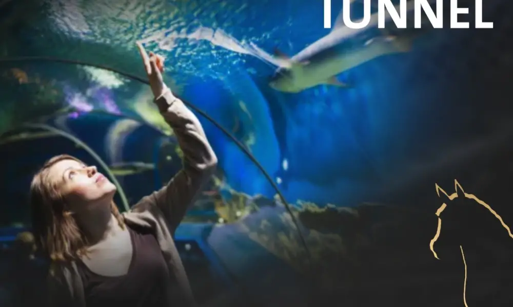 بيراميدز بيزنس سيتي العاصمة الإدارية الجديدة -  Pyramids Business City New Capital