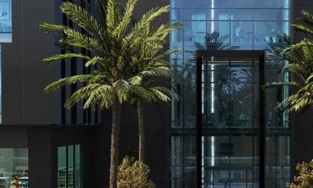 D Line Mall Sheikh Zayed La Vista Developments