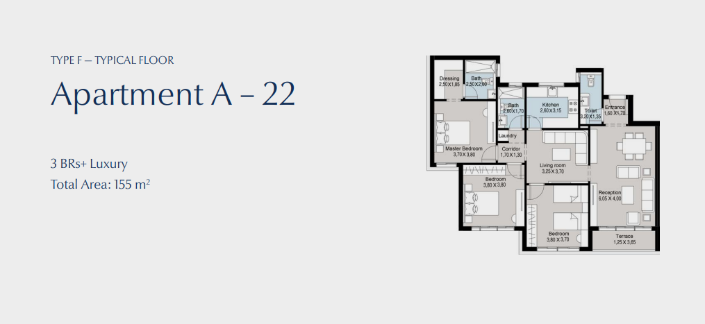 Floor Plan - كمبوند بلو تري القاهرة الجديدة سكاي ابو ظبي للتطوير العقاري - Blue Tree New Cairo Compound