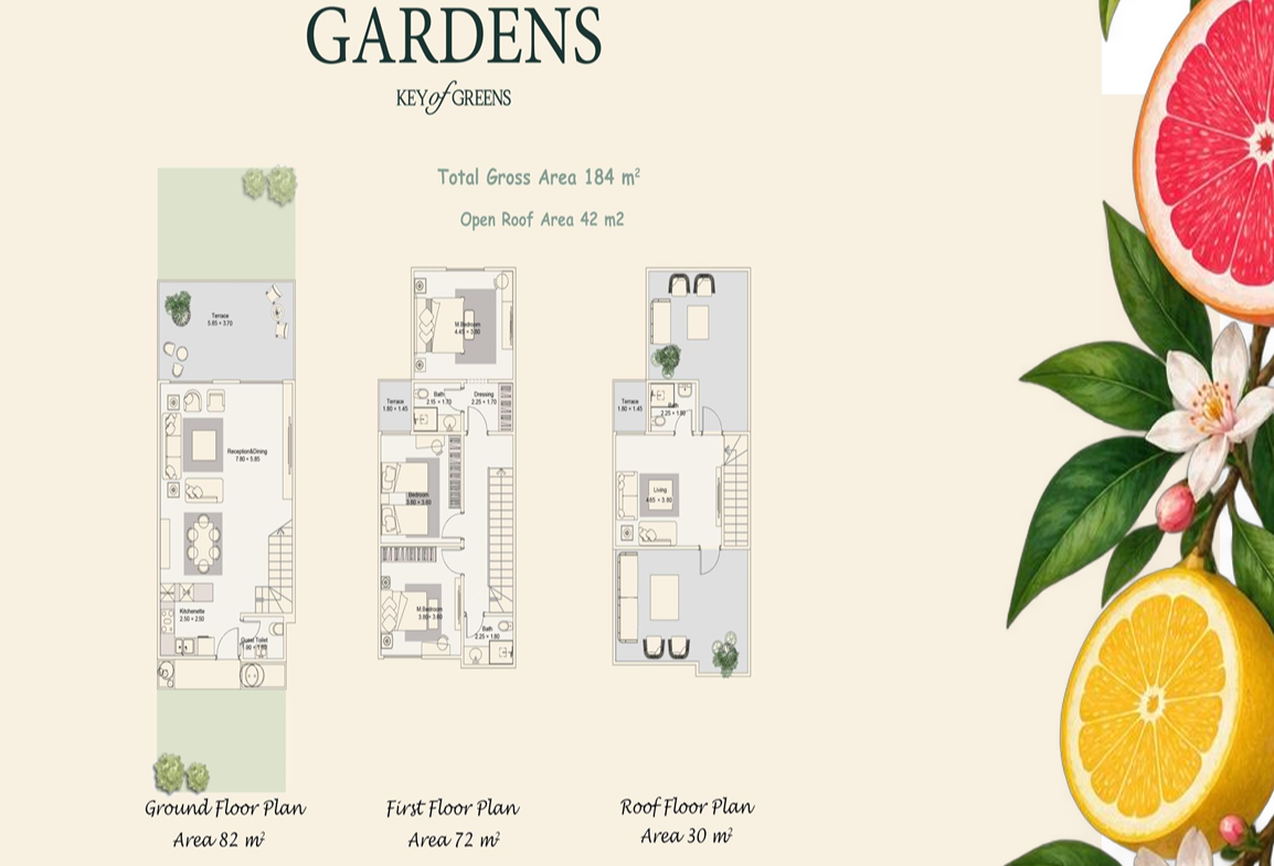 Plan 1 - Key of Greens New Zayed Compound TBK Developments