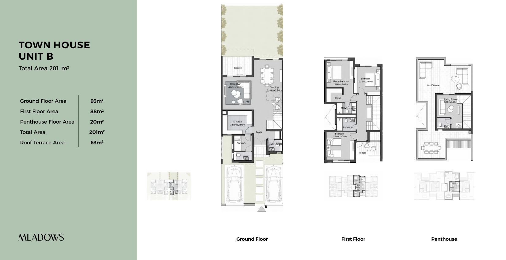 مخطط 8 - ميدوز