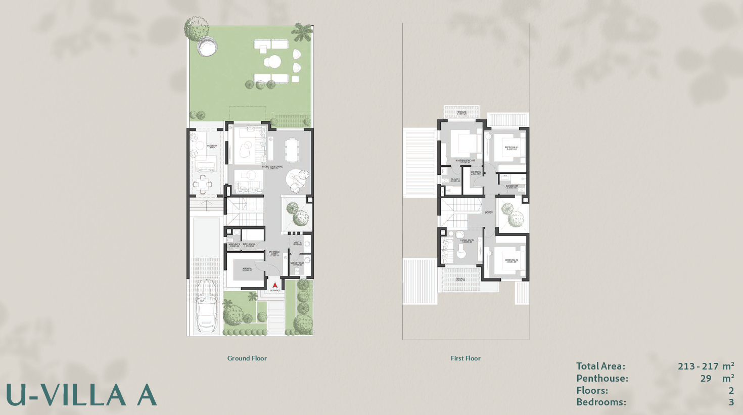 Plan 19 - Owest