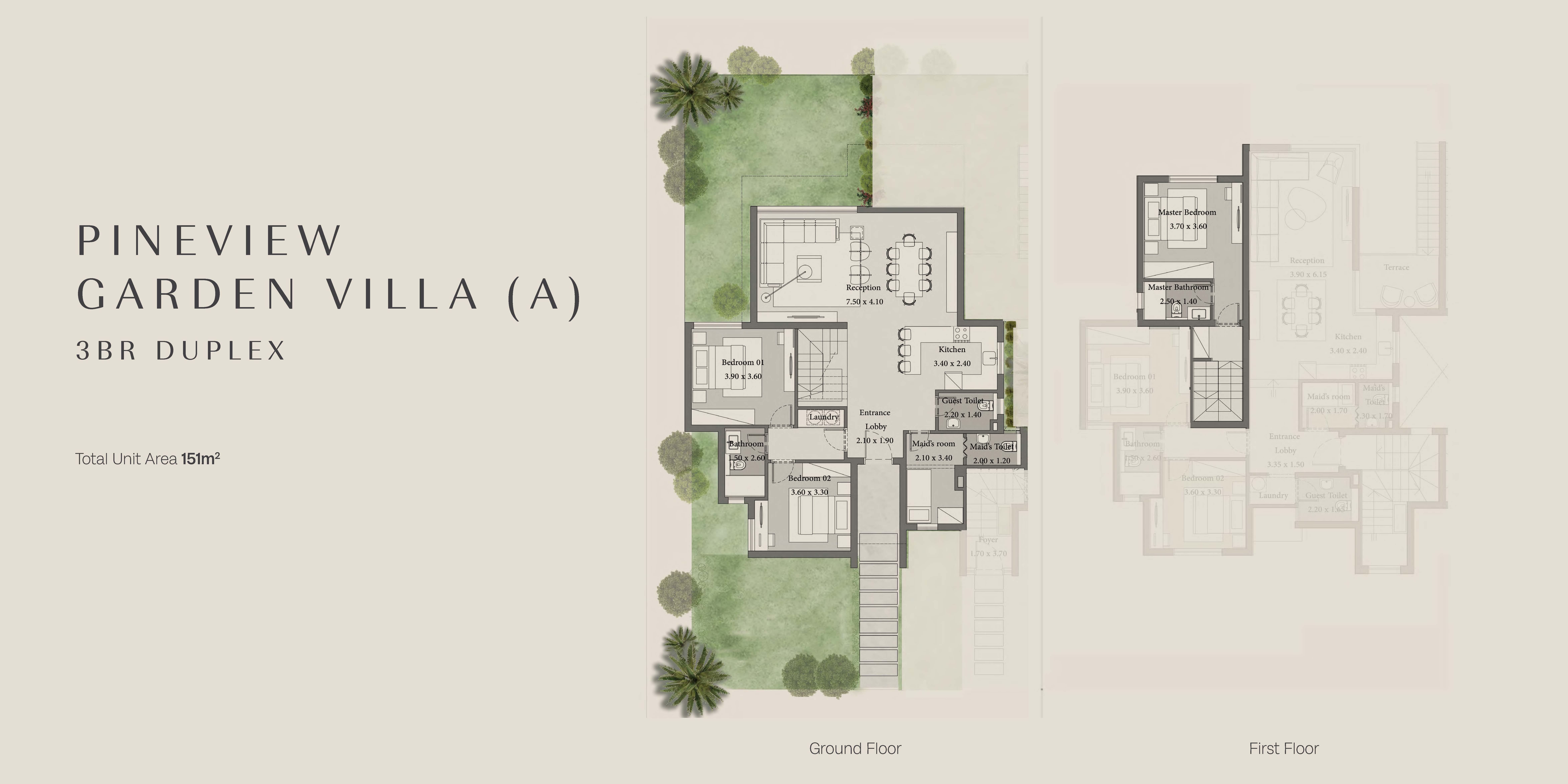 باين لاينز floor plan