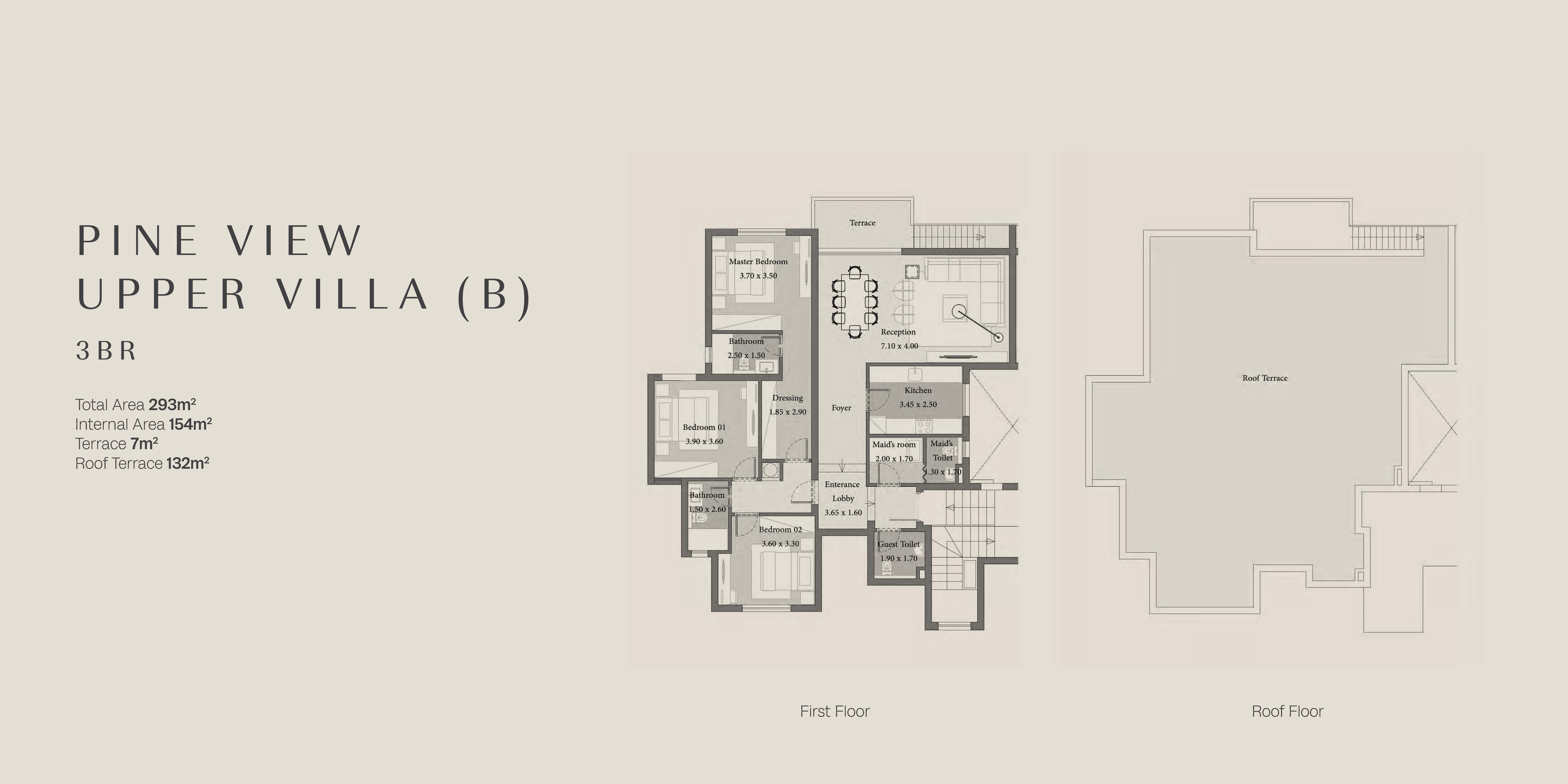 باين لاينز floor plan