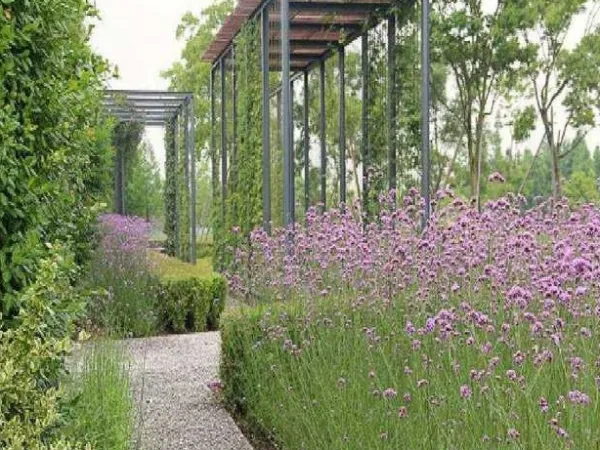 فيلا للبيع في البوسكو العاصمة الإدارية الجديدة