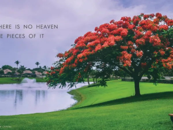 For Sale In La Vista City, Villa 255m With Attractive Price