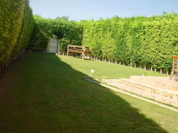 سعر لا ينافس في الربوة 320 مترأ إغتنم الفرصة