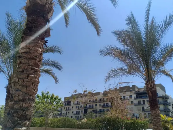 Townhouses for sale in Eastown 284m²