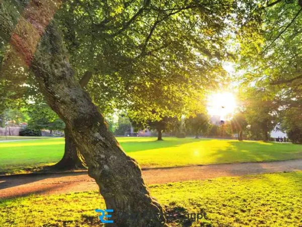 A special offer on the prices of Villette New Cairo villas Fifth Settlement