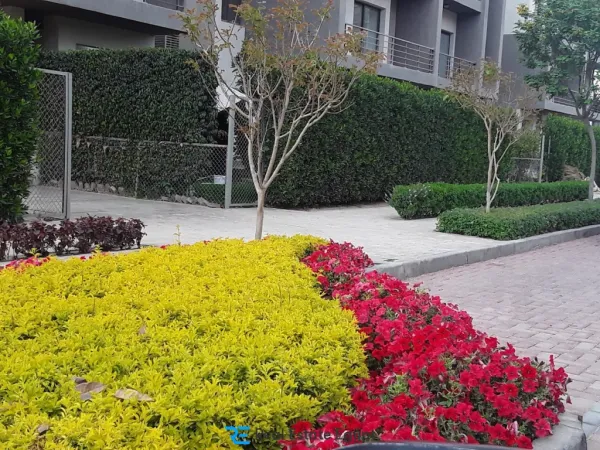 Details about the price per meter in the Fifth Square project