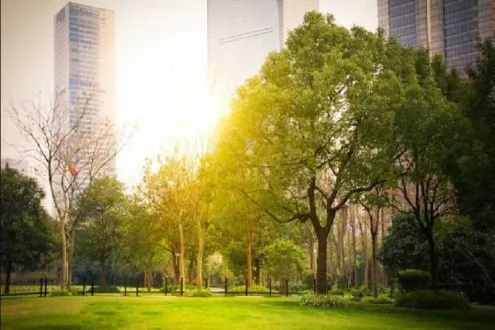 شقة للبيع في سكاي كابيتال 155 متراً