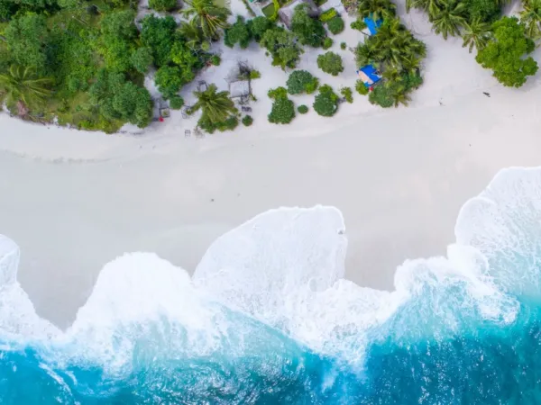 Twin House for sale in The Waterway North Coast starting from 314 m²