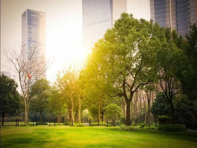 Apartments For Sale in Sky Capital by Peter House Starting From 205 m²