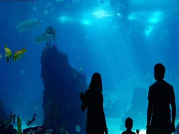 Get an Office in Paris East New Capital With an Area of 30 meters