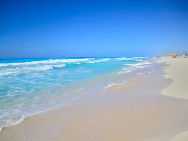 Book Your Unit Quickly in Cascadia starting from 150m