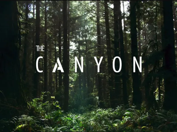 دوبلكس للبيع في ذا كانيون 264 متر