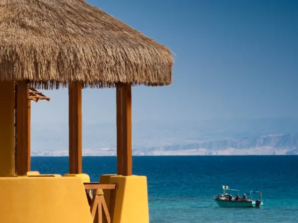 امتلك وحدتك الآن في ماونتن فيو السخنه 1 بأسعار مُميزة وأنظمة سداد مُنوعه