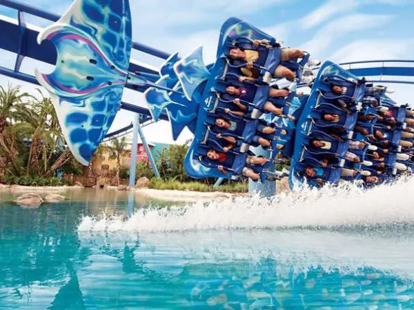 Immediate Delivery With Payment Facilities Over 7 Years In Sodic East El Shrouk Compound