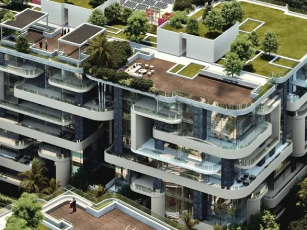 Hurry Up To Book In The Curve Compound