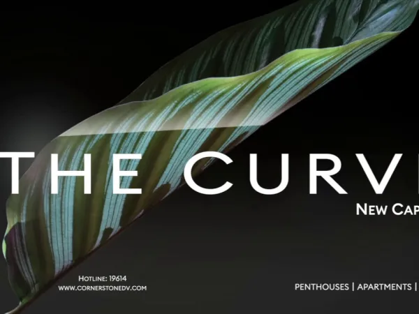 Own A Duplex In The Curve The Administrative Capital