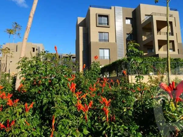 تعرف على سعر شقق للبيع في بالم بارك أكتوبر بمساحة 236 متر