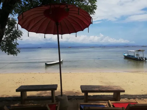 With 10% Down Payment, Get A Twin House 385m² In Mangroovy