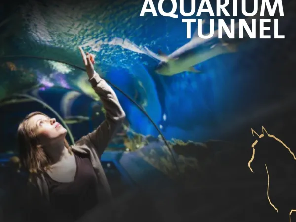 Get A Store in Pyramids Business City Mall Starting From 50m²