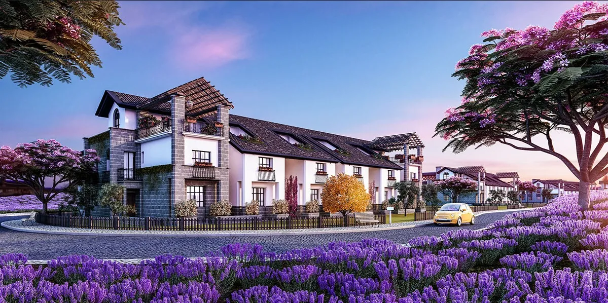 Attractive Price Twin House 290m In Lavande Project, A Wonderful View