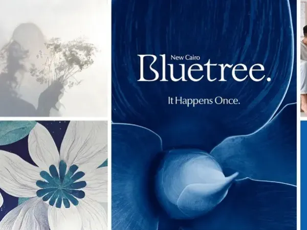 Your apartment 200m in Blue Tree Compound with payment facilities