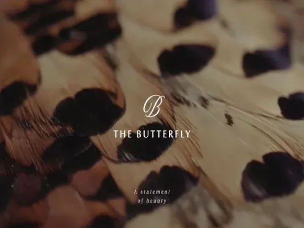 Buy a 230 meter townhouse in The Butter Fly Mostakbal City Compound