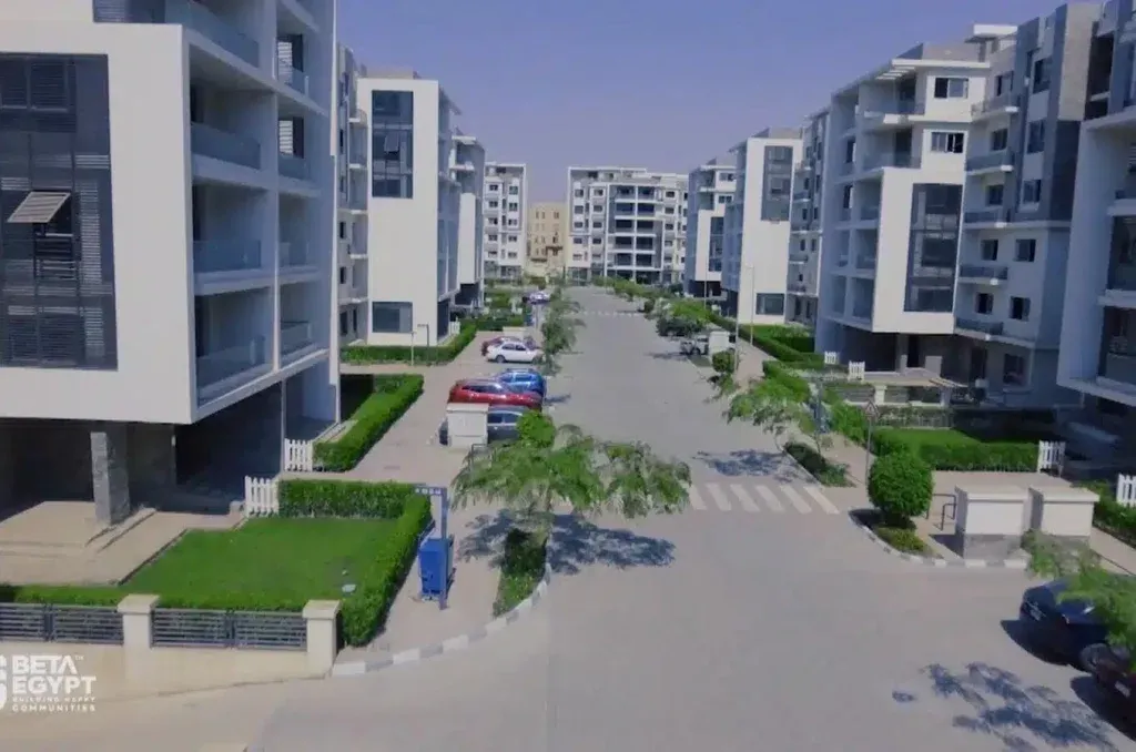 Unbeatable price in Beta Greens Compound for 100 meters Take advantage