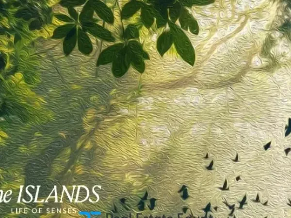 Hurry Up To Buy Your Apartment in The Island New Capital Compound With 188m²