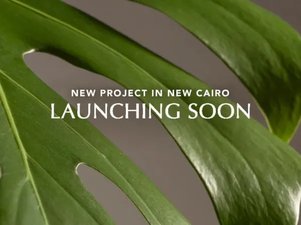 إمتلك شقة في كمبوند الباتيو فيدا التجمع السادس بمساحة تبدأ من 70 متراً