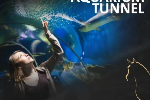 محل للبيع استلام فوري في مول بيراميدز بيزنس العاصمة الادارية