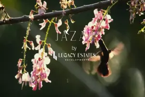 امتلك شقتك بالموقع الاكثر تميزا في كمبوند جازال