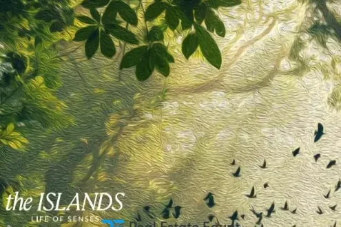 Hurry Up To Buy Your Apartment in The Island New Capital Compound With 188m² Hurry Up To Buy Your Apartment in The Island New Capital Compound With 188m²