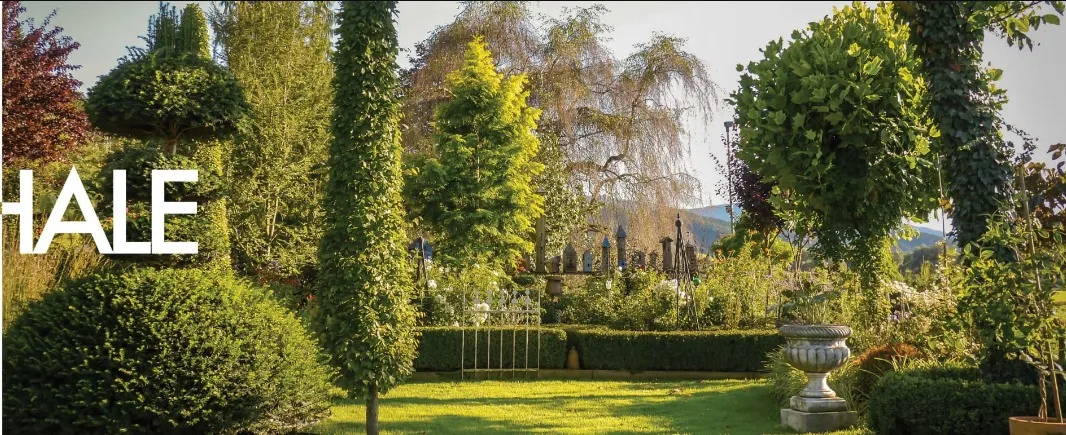 Green Avenue New Capital Compound New Jersey Development
