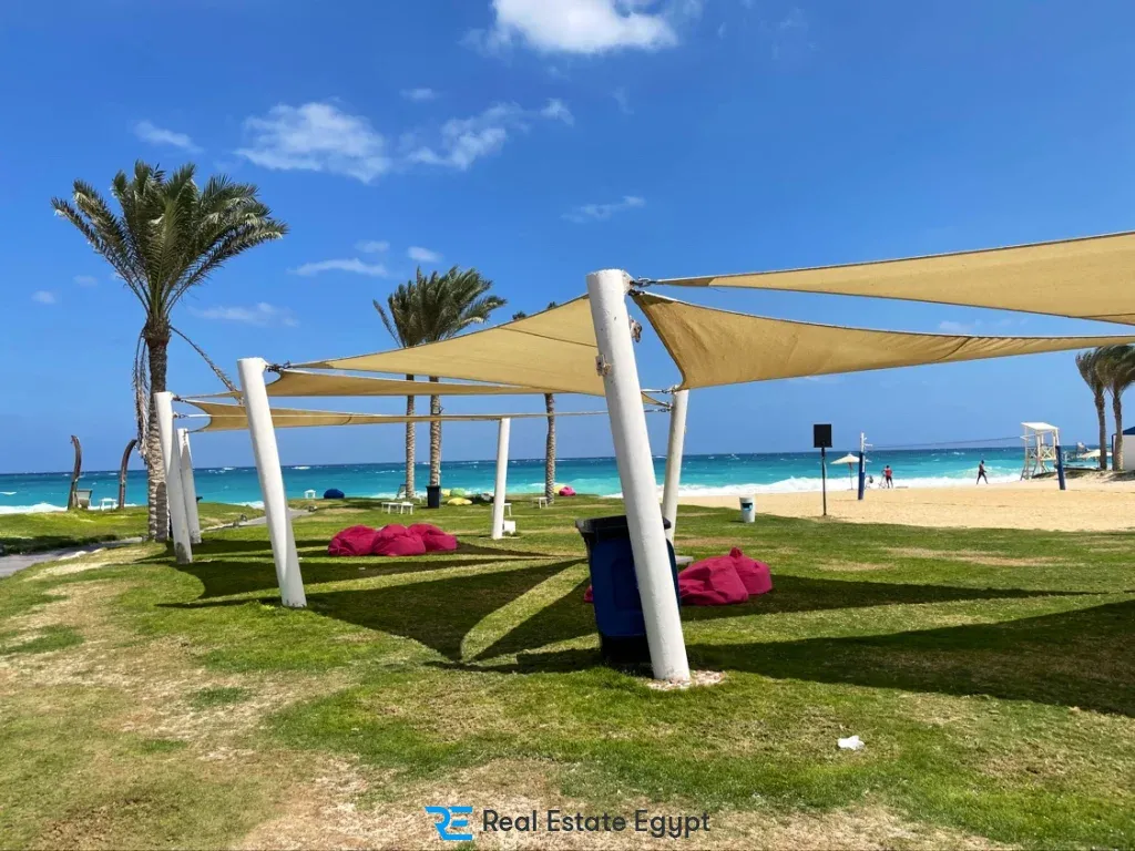 ماونتن فيو الدبلوماسيين