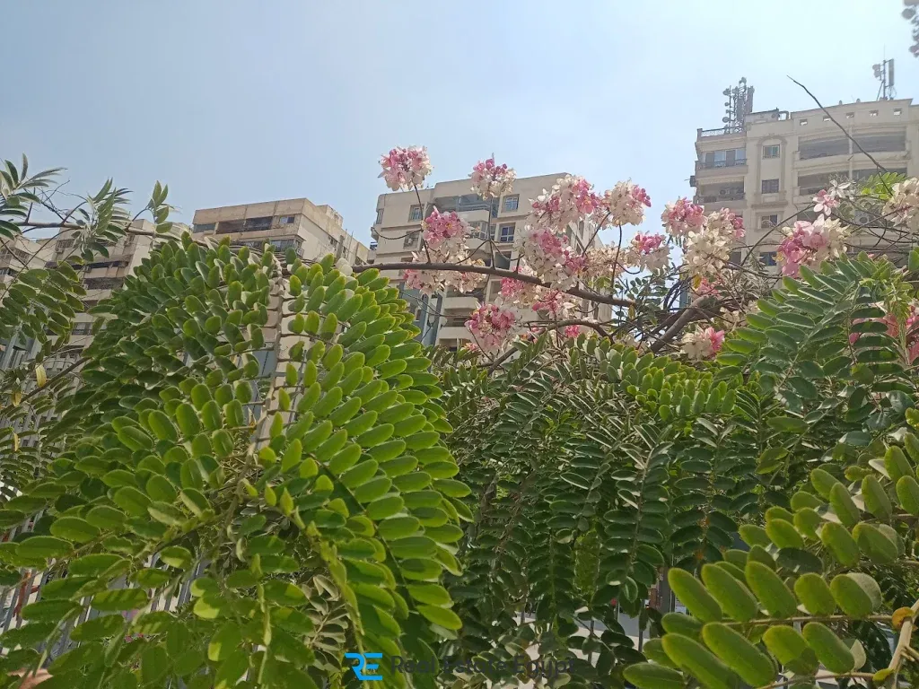 كمبوند الفسطاط الجديدة السعودية المصرية للتطوير العقاري