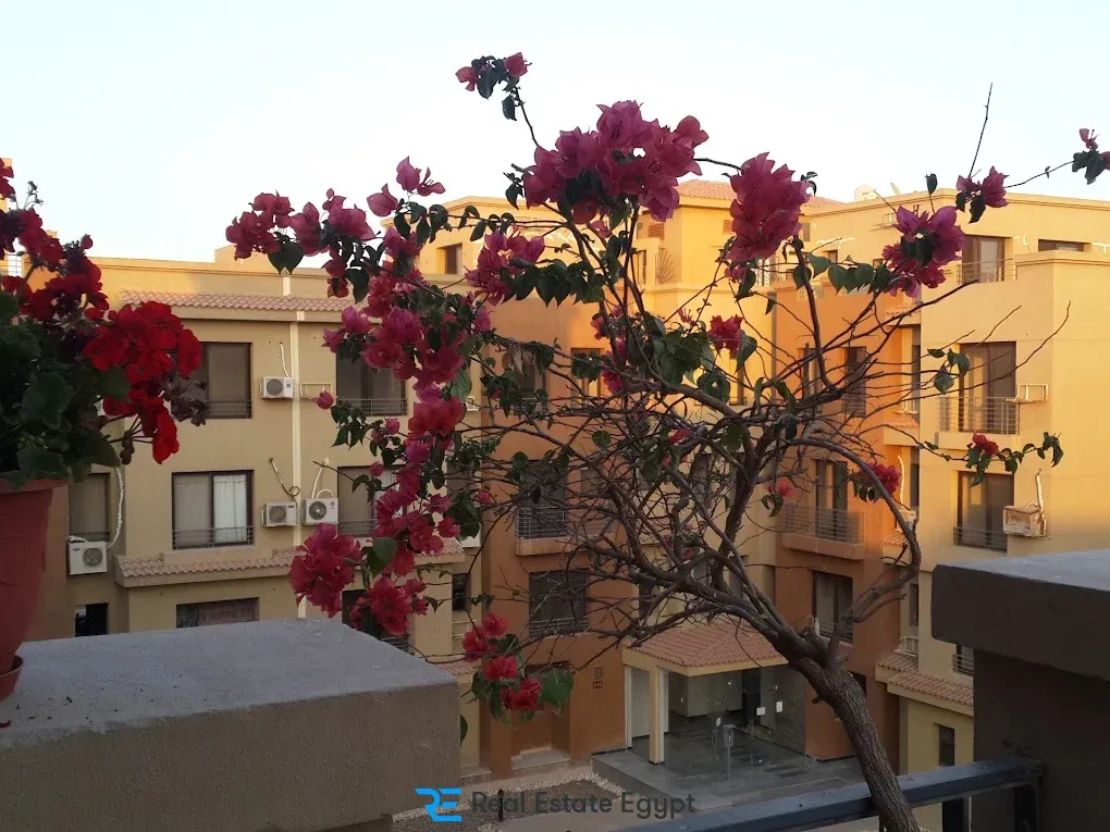La Casa Sheikh Zayed Compound Beyond Development