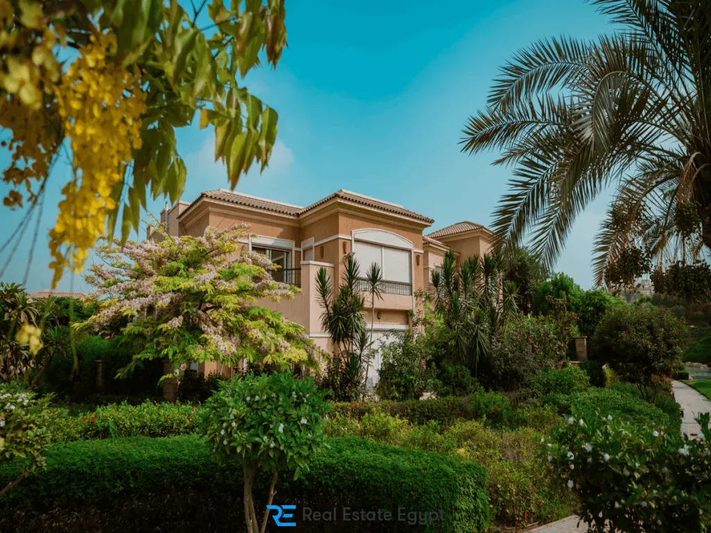 تلال - شورز