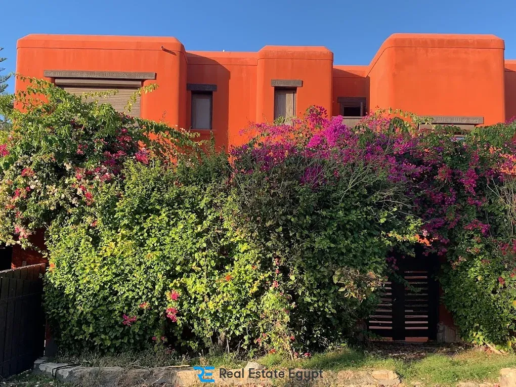 قرية هاسيندا ريد الساحل الشمالي بالم هيلز للتطوير العقاري