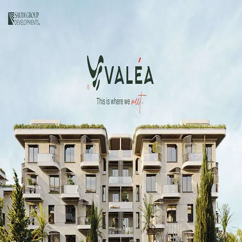 Valea Sheikh Zayed Compound Saudi Group Developments