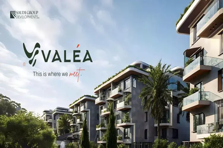 Valea Sheikh Zayed Compound Saudi Group Developments