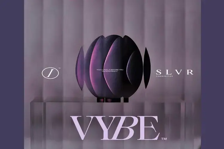 مول فايب التجمع الخامس SLVR للتطوير العقاري