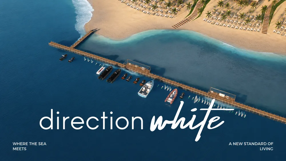Direction White